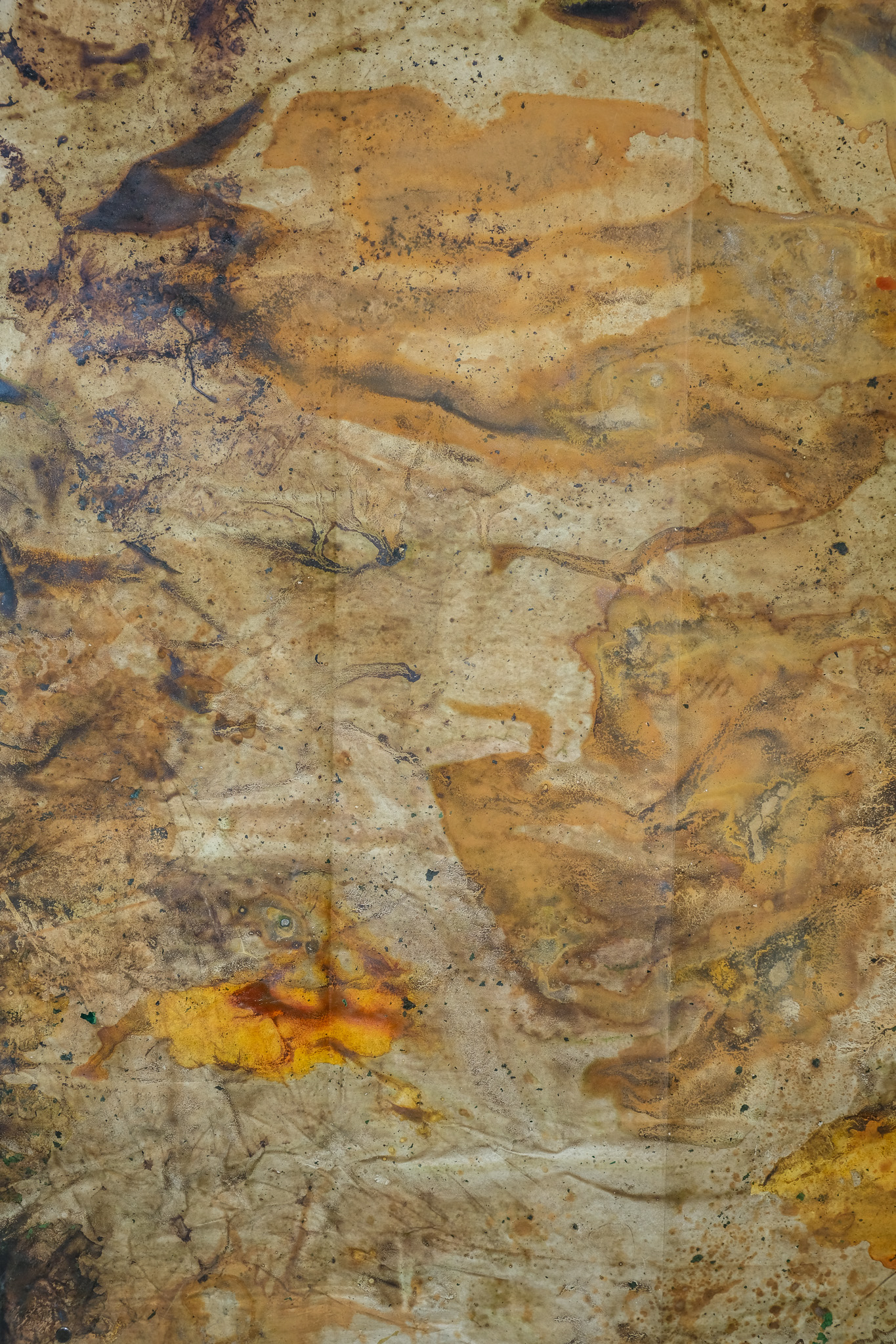 Secano. 2025 (detalle)