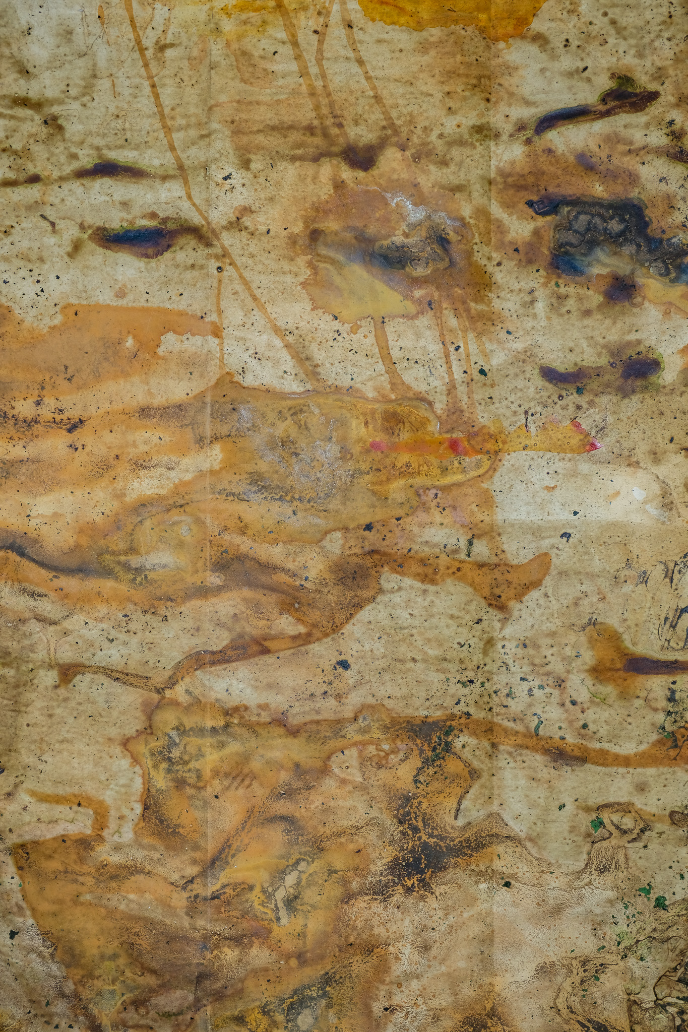 Cartografías del Montseny