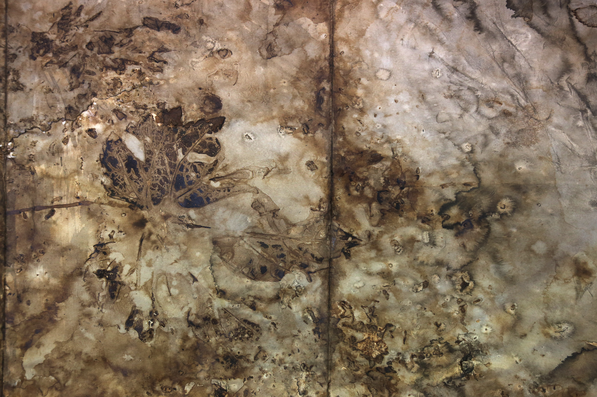 Memorias y huellas de la Coma de Burg