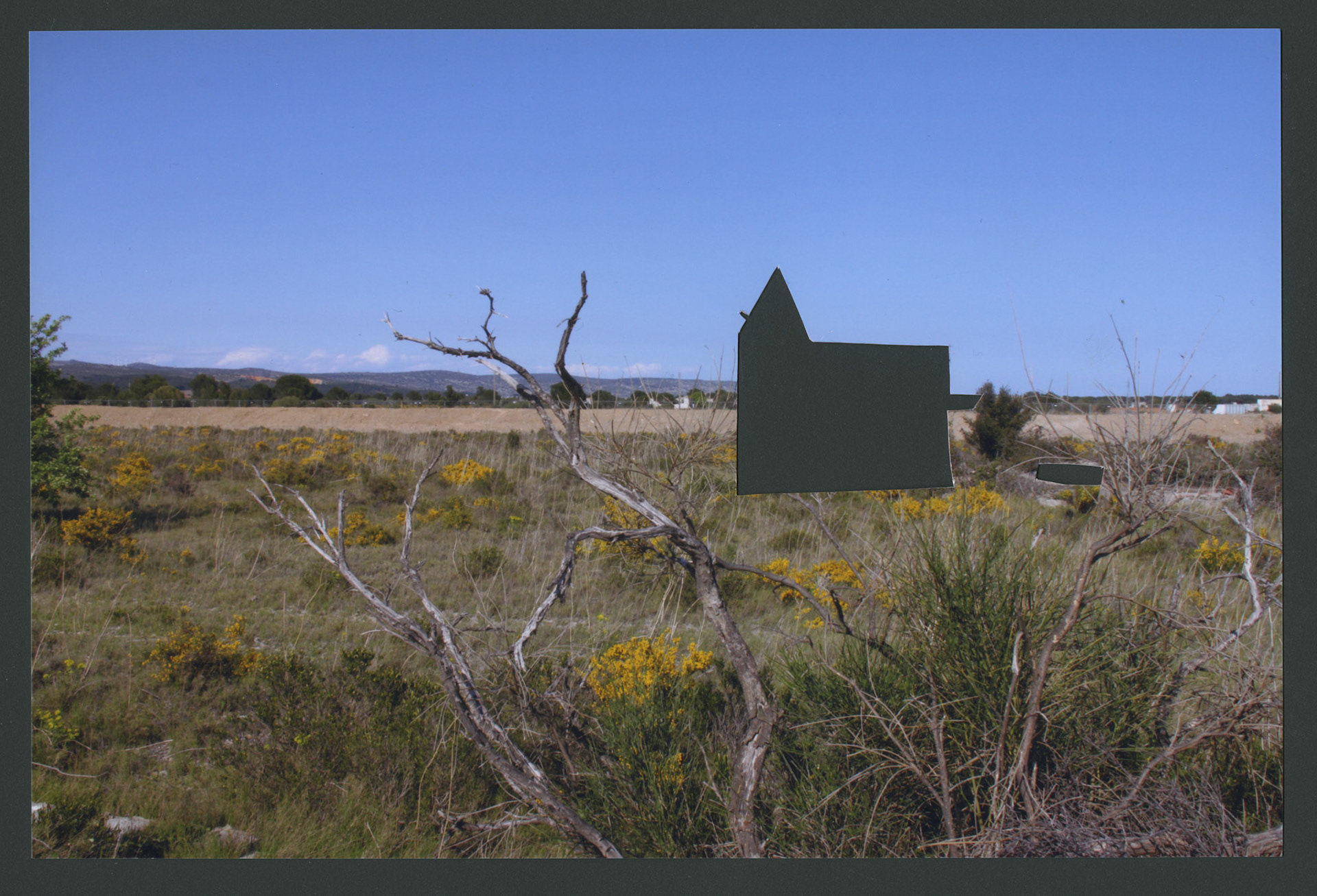 Intervened photograph