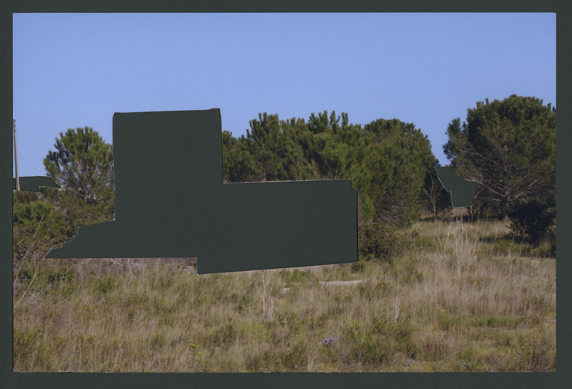 Intervened photograph