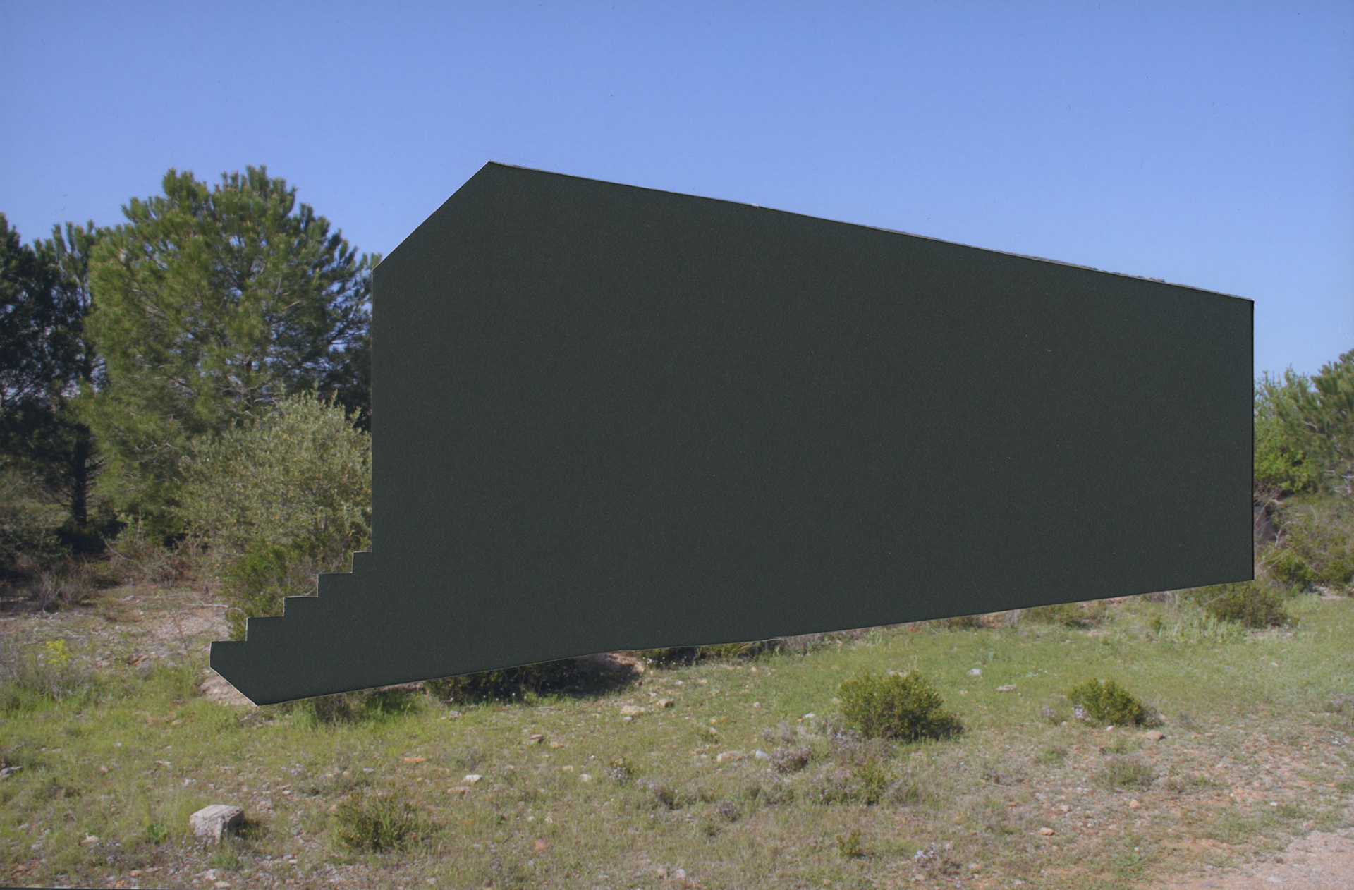 Intervened photograph