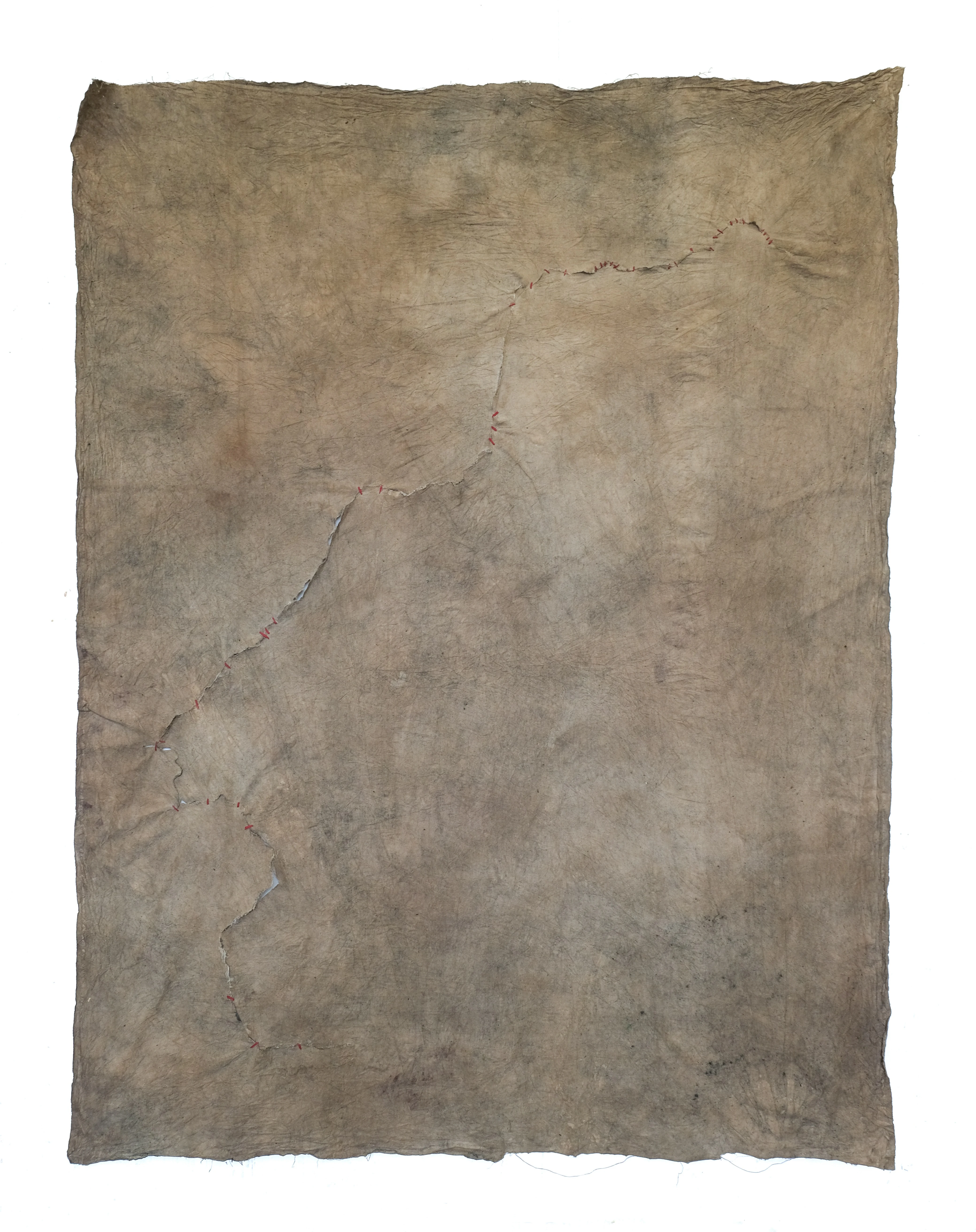 Sutura (43 puentes), pigmentos naturales y cola vinílica, 193 × 145 cm