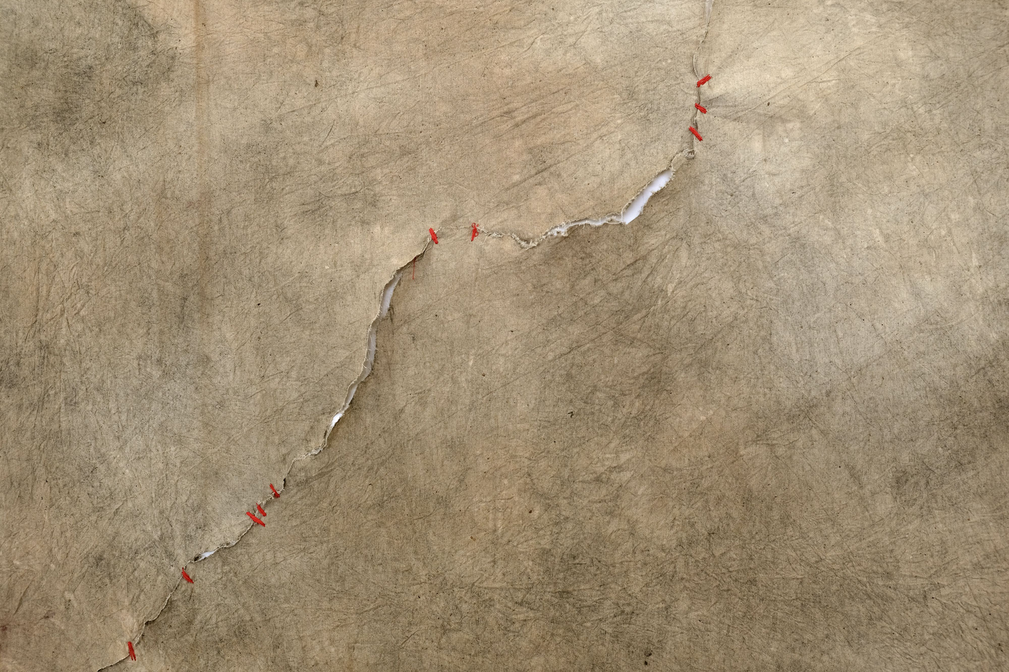 Sutura (43 puentes), pigmentos naturales y cola vinílica, 193 × 145 cm