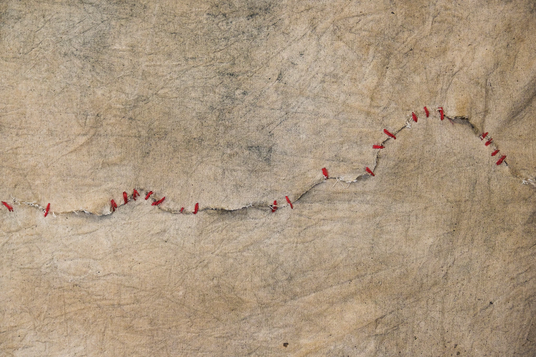 Sutura (43 puentes), pigmentos naturales y cola vinílica, 193 × 145 cm