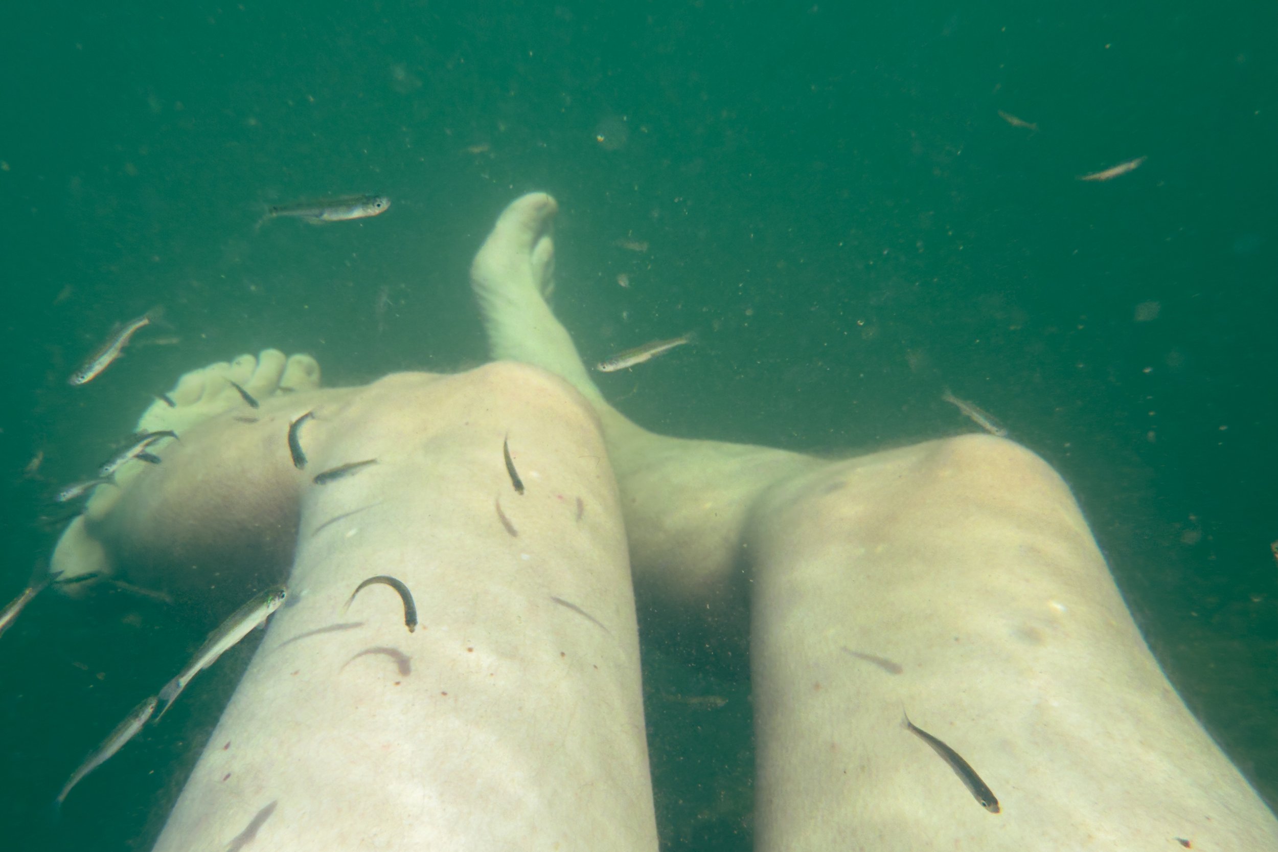 Roca Besaculs, 2025, proyecto Cuerpo Ebro