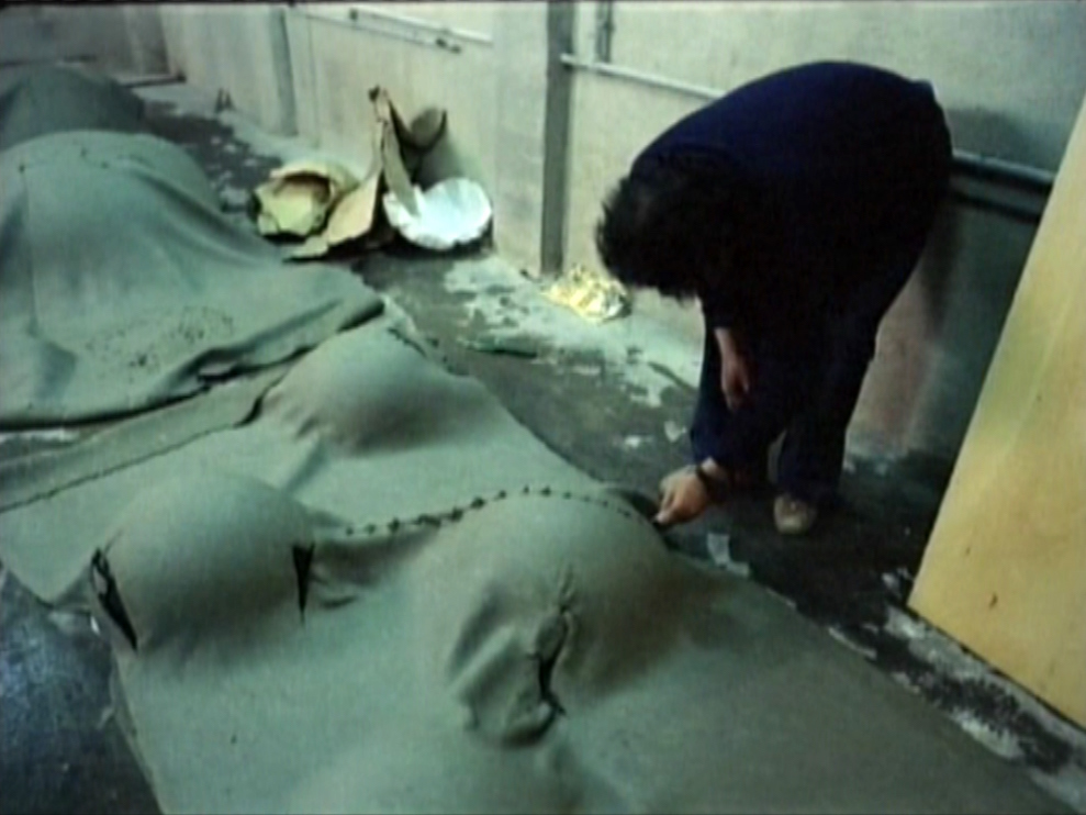 Guinovart, un fragmento