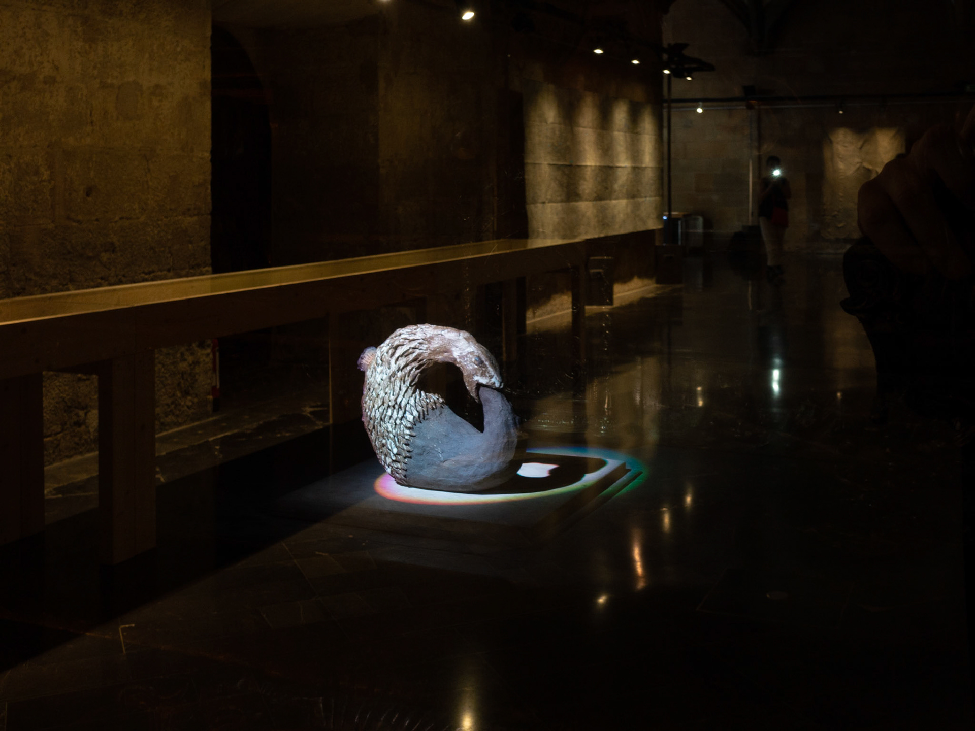 Exposición "Sequere", Institut d'Estudis Ilerdencs, Lleida, 2023